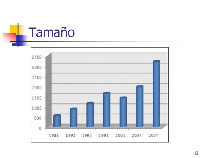 Tamaño 12 