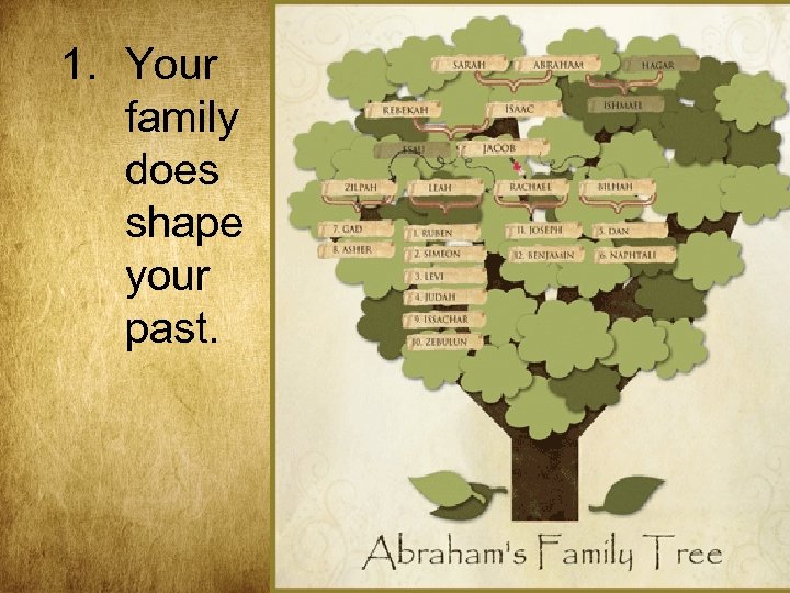1. Your family does shape your past. 