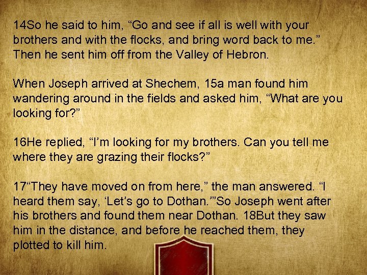 14 So he said to him, “Go and see if all is well with