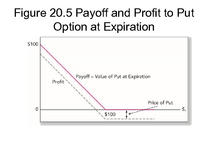 Figure 20. 5 Payoff and Profit to Put Option at Expiration 