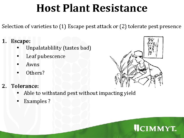 Host Plant Resistance Selection of varieties to (1) Escape pest attack or (2) tolerate