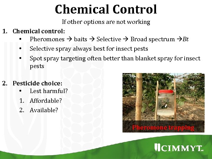 Chemical Control If other options are not working 1. Chemical control: • Pheromones baits