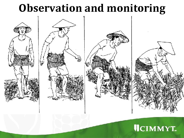 Observation and monitoring 