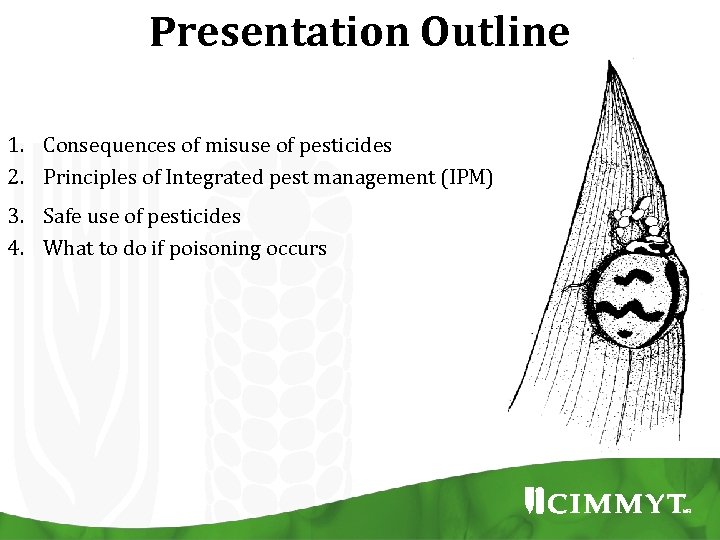 Presentation Outline 1. Consequences of misuse of pesticides 2. Principles of Integrated pest management