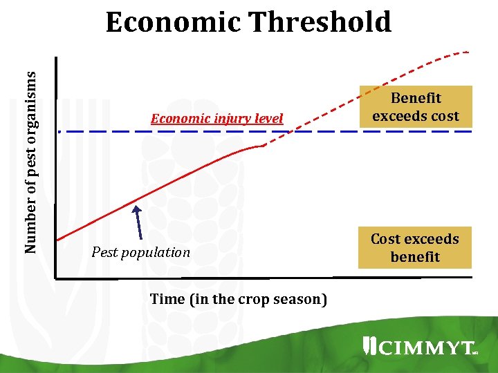 Number of pest organisms Economic Threshold Economic injury level Pest population Time (in the