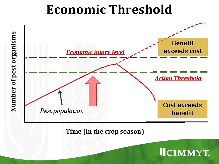 Number of pest organisms Economic Threshold Economic injury level Benefit exceeds cost Action Threshold