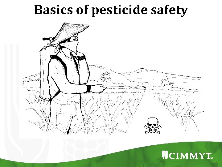 Basics of pesticide safety 