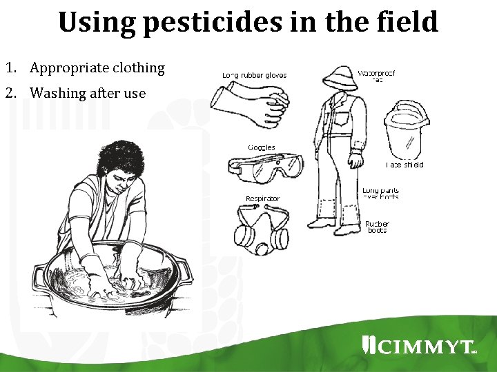 Using pesticides in the field 1. Appropriate clothing 2. Washing after use 