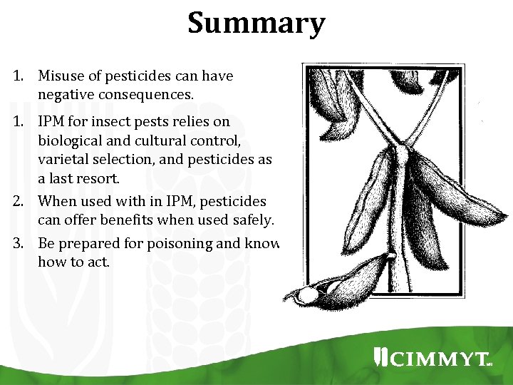 Summary 1. Misuse of pesticides can have negative consequences. 1. IPM for insect pests