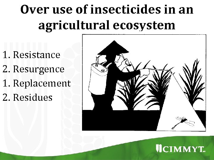 Over use of insecticides in an agricultural ecosystem 1. Resistance 2. Resurgence 1. Replacement