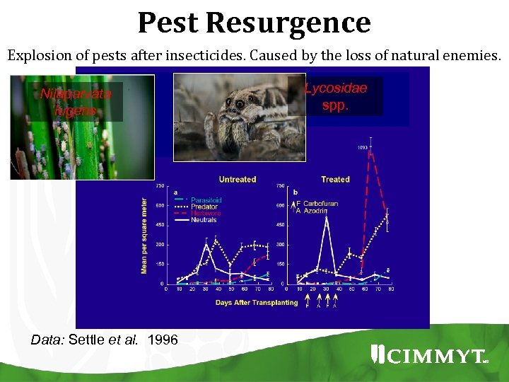 Pest Resurgence Explosion of pests after insecticides. Caused by the loss of natural enemies.
