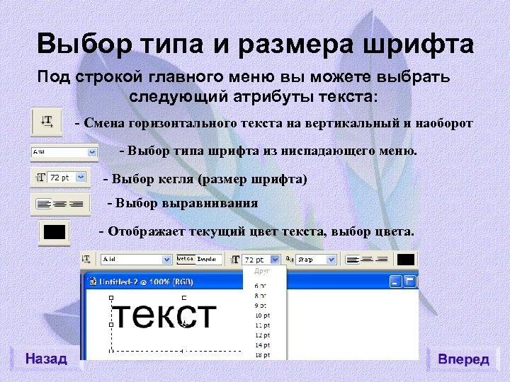 Выбор типа и размера шрифта Под строкой главного меню вы можете выбрать следующий атрибуты