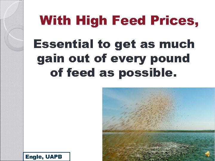 With High Feed Prices, Essential to get as much gain out of every pound