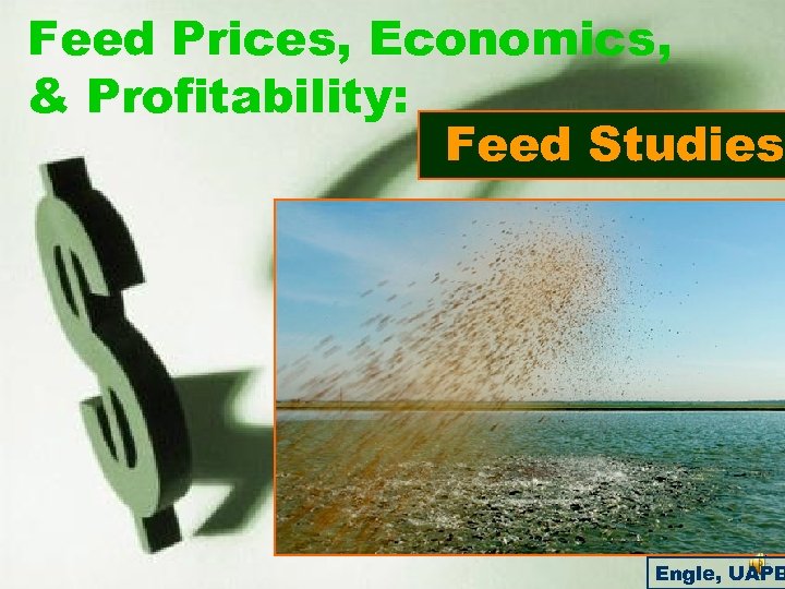 Feed Prices, Economics, & Profitability: Feed Studies Engle, UAPB 