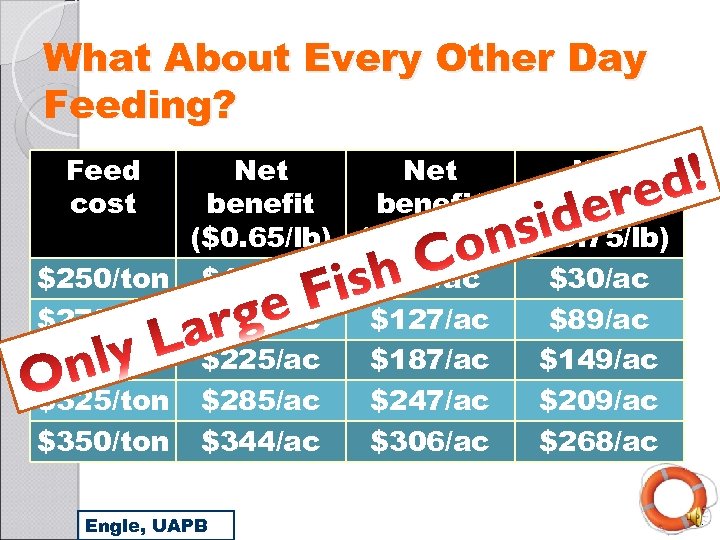 What About Every Other Day Feeding? Feed cost $250/ton $275/ton $300/ton $325/ton $350/ton Net