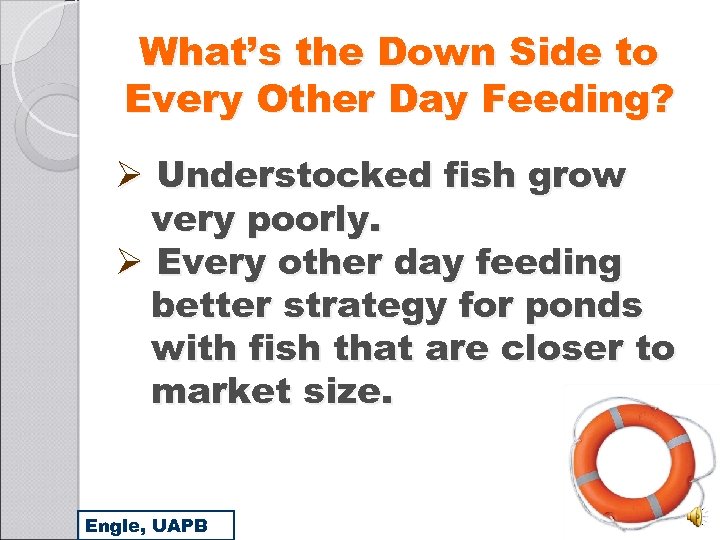 What’s the Down Side to Every Other Day Feeding? Ø Understocked fish grow very