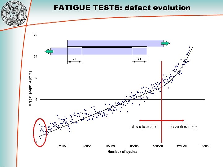 FATIGUE TESTS: defect evolution a a steady-state accelerating 