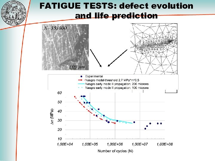 FATIGUE TESTS: defect evolution and life prediction 