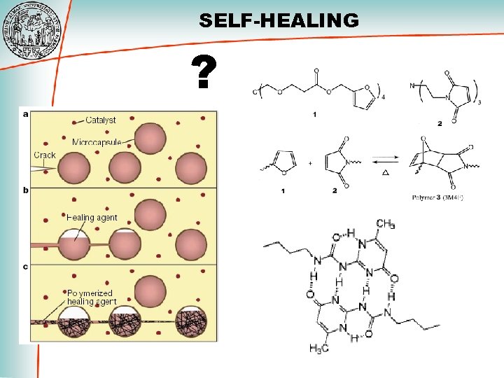 SELF-HEALING ? 