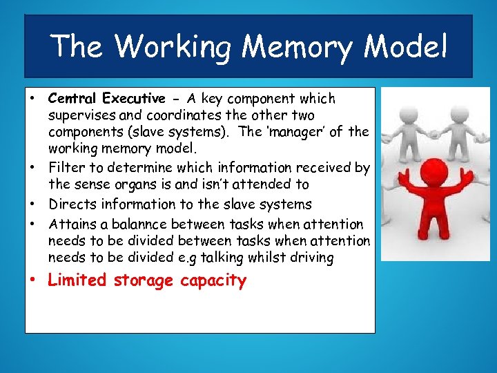 The Working Memory Model • Central Executive - A key component which supervises and