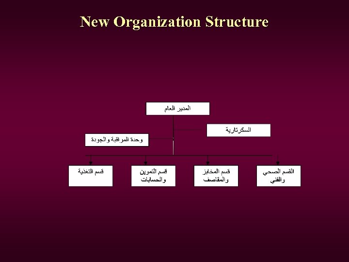 New Organization Structure 