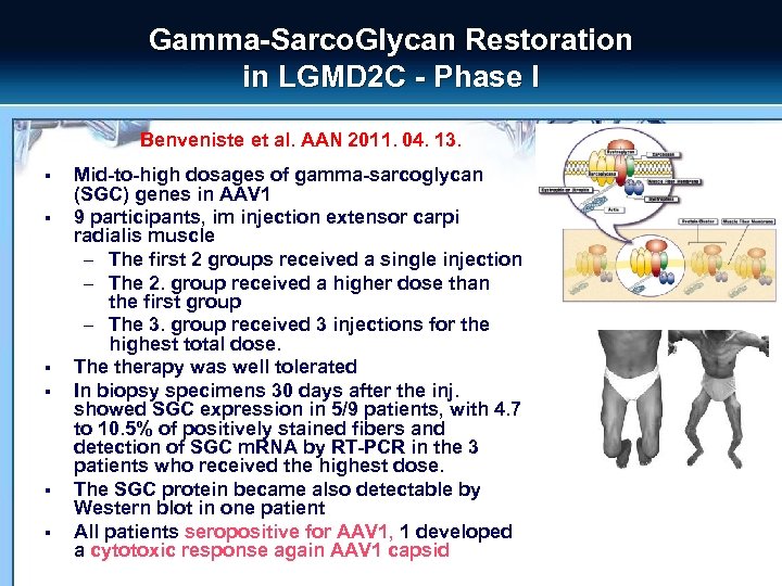 Gamma-Sarco. Glycan Restoration in LGMD 2 C - Phase I Benveniste et al. AAN