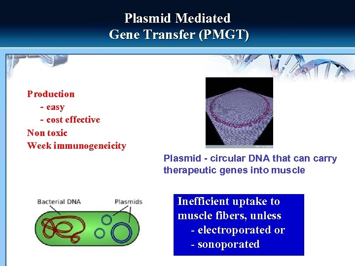 Plasmid Mediated Gene Transfer (PMGT) Production - easy - cost effective Non toxic Week