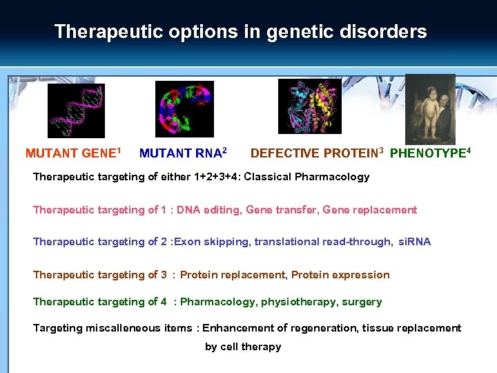 Therapeutic options in genetic disorders MUTANT GENE 1>> MUTANT RNA 2 > > DEFECTIVE