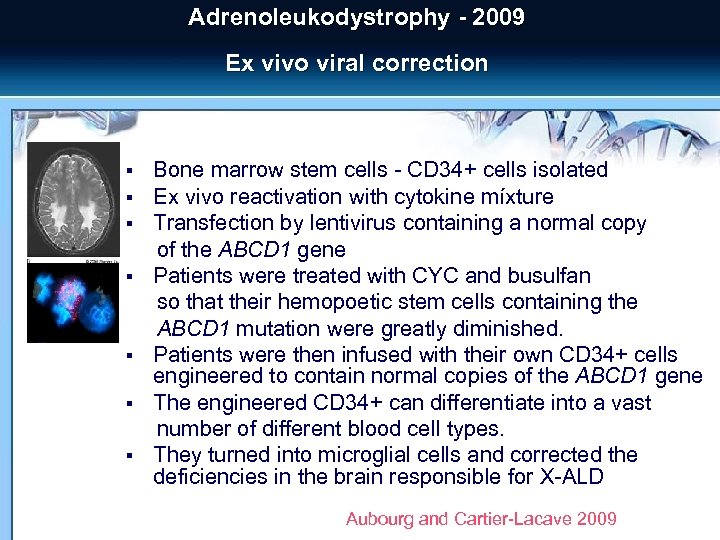 Adrenoleukodystrophy - 2009 Ex vivo viral correction § § § § Bone marrow stem