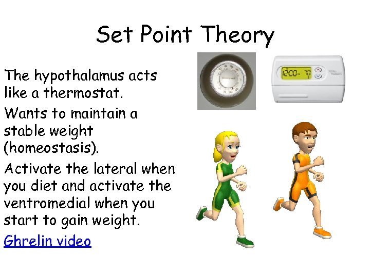 Set Point Theory The hypothalamus acts like a thermostat. Wants to maintain a stable