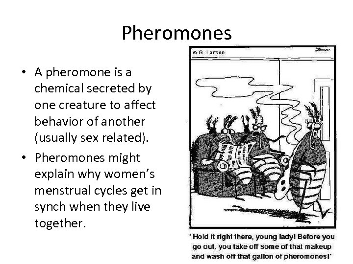 Pheromones • A pheromone is a chemical secreted by one creature to affect behavior