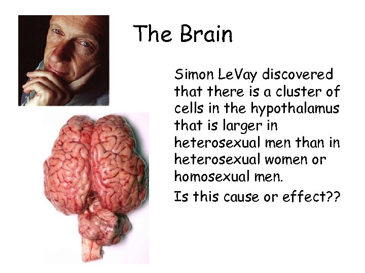 The Brain Simon Le. Vay discovered that there is a cluster of cells in