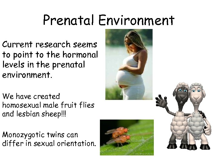 Prenatal Environment Current research seems to point to the hormonal levels in the prenatal