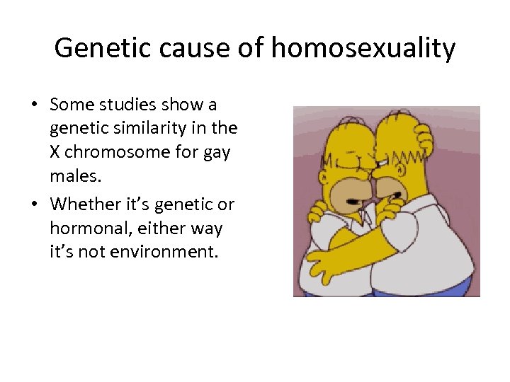 Genetic cause of homosexuality • Some studies show a genetic similarity in the X