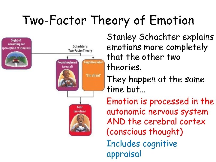 Two-Factor Theory of Emotion Stanley Schachter explains emotions more completely that the other two