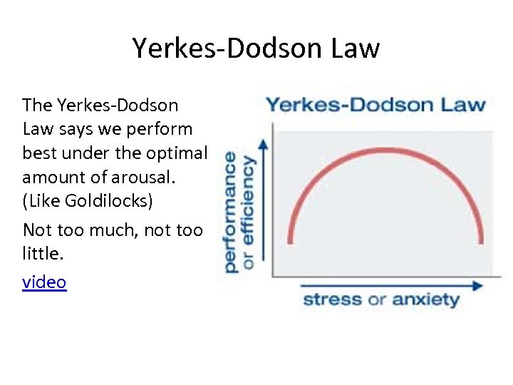Yerkes-Dodson Law The Yerkes-Dodson Law says we perform best under the optimal amount of