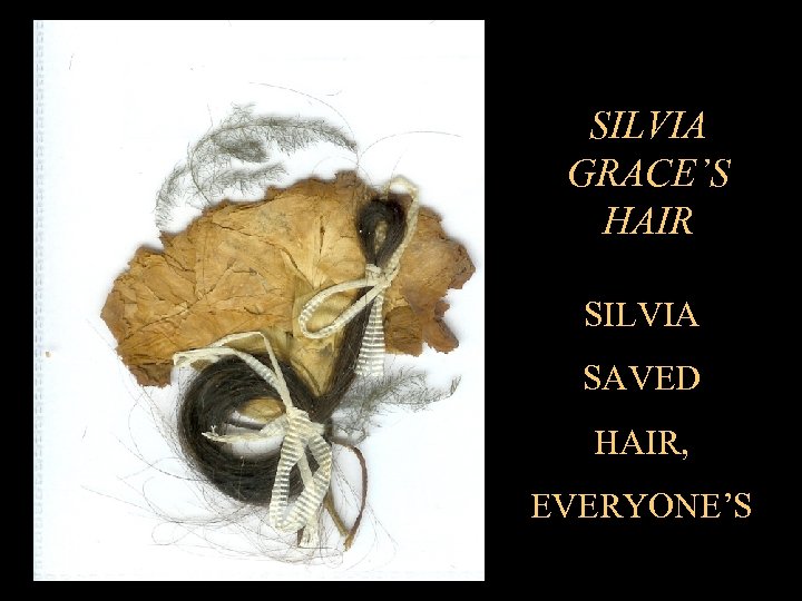 SILVIA GRACE’S HAIR SILVIA SAVED HAIR, EVERYONE’S 