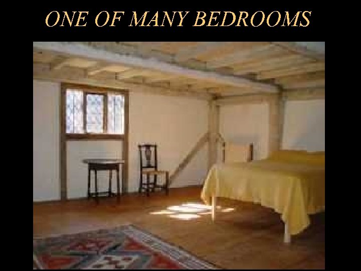 ONE OF MANY BEDROOMS 