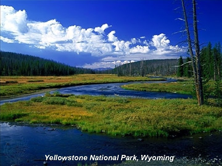 Yellowstone National Park, Wyoming 