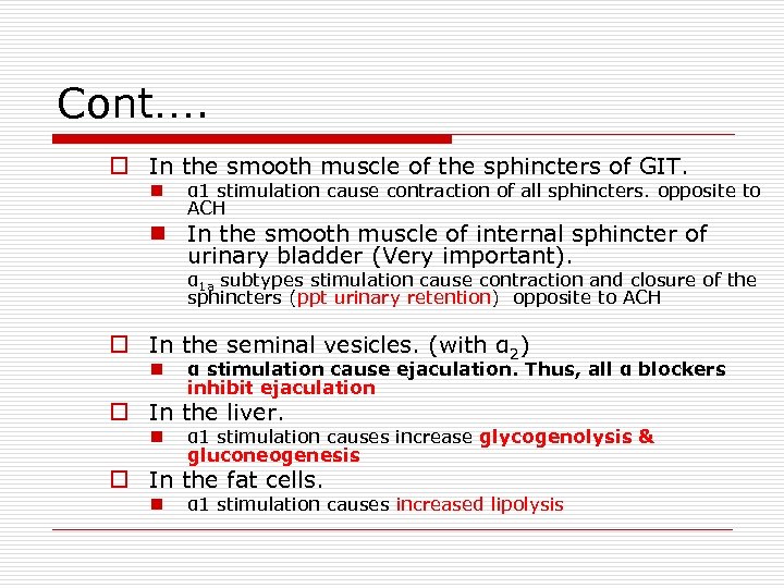 Cont…. o In the smooth muscle of the sphincters of GIT. n α 1