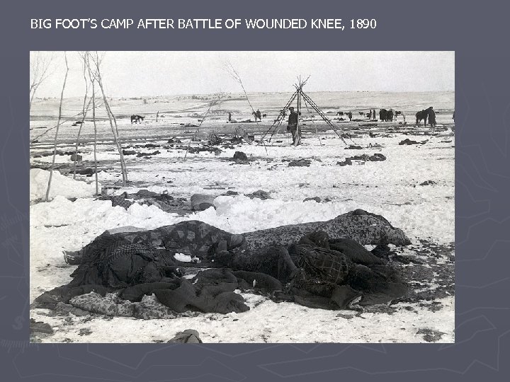 BIG FOOT’S CAMP AFTER BATTLE OF WOUNDED KNEE, 1890 