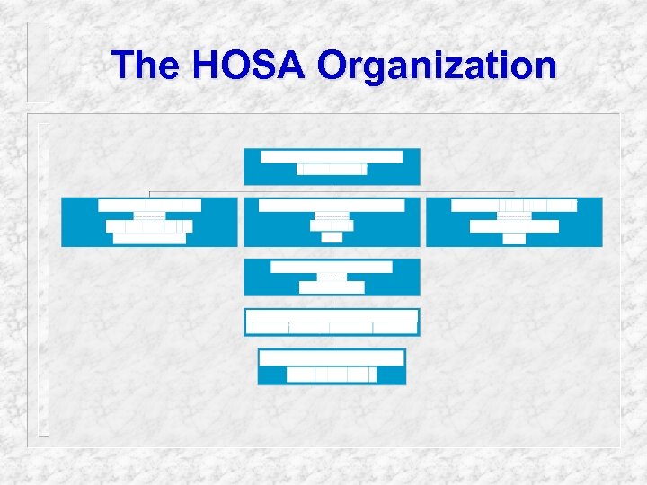 The HOSA Organization 