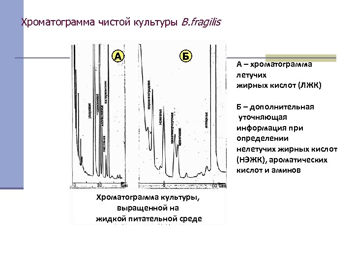 Хроматограмма чистой культуры B. fragilis А Б А – хроматограмма летучих жирных кислот (ЛЖК)