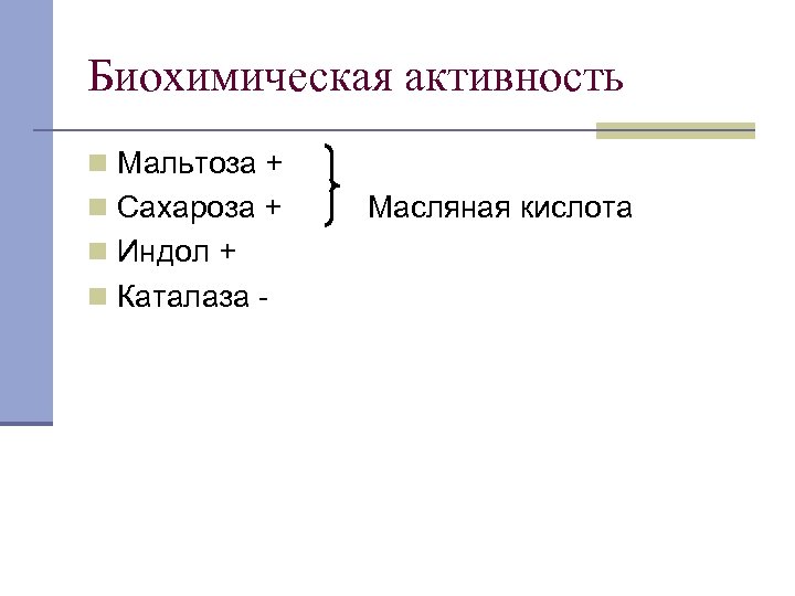 Биохимическая активность n Мальтоза + n Сахароза + n Индол + n Каталаза -