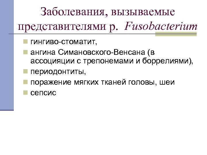 Заболевания, вызываемые представителями р. Fusobacterium n гингиво-стоматит, n ангина Симановского-Венсана (в ассоцияции с трепонемами