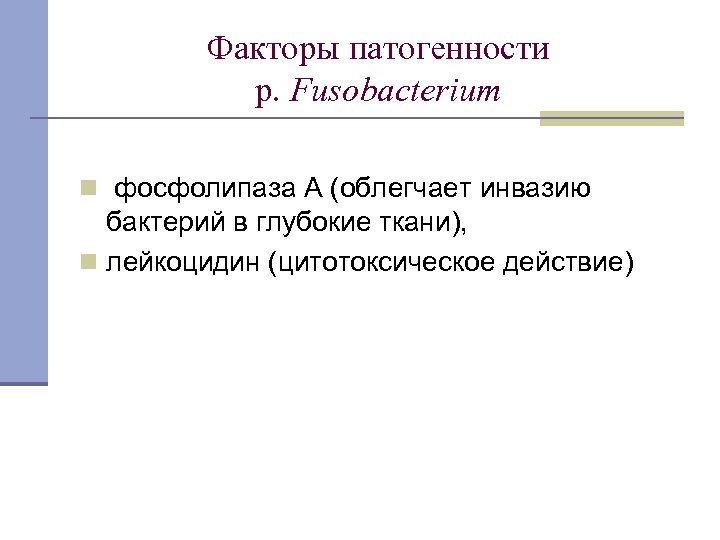 Факторы патогенности p. Fusobacterium n фосфолипаза А (облегчает инвазию бактерий в глубокие ткани), n