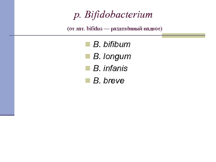 p. Bifidobacterium (от лат. bifidus — разделённый надвое) n B. bifibum n B. longum