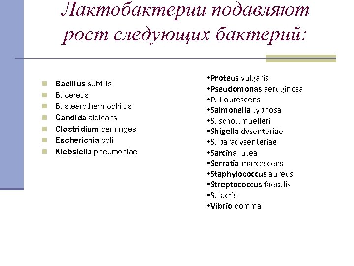 Лактобактерии подавляют рост следующих бактерий: n n n n Bacillus subtilis В. cereus В.