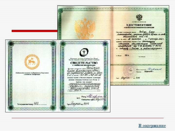 В содержание 