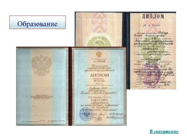 Образование В содержание 